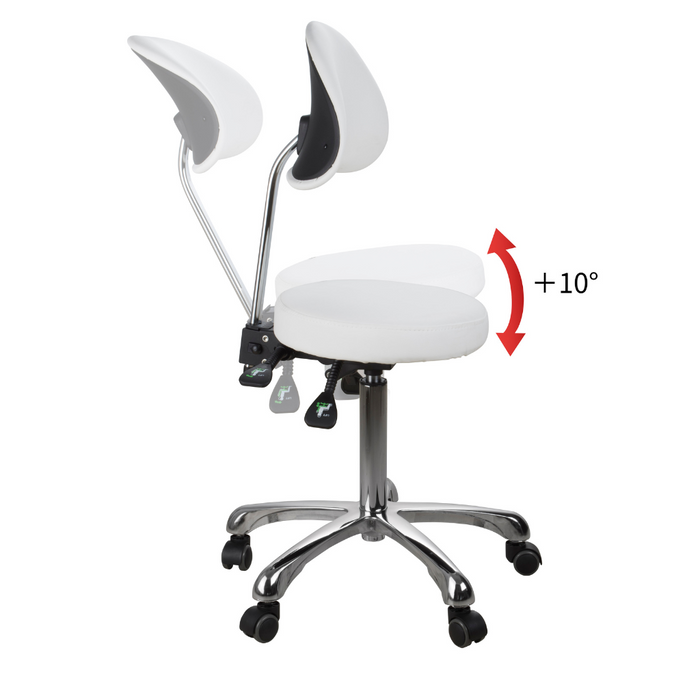 Silver Fox FlexPro Ergonomic Adjustable Stool with Backrest - 1025B