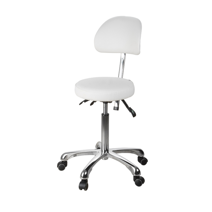 Silver Fox FlexPro Ergonomic Adjustable Stool with Backrest - 1025B