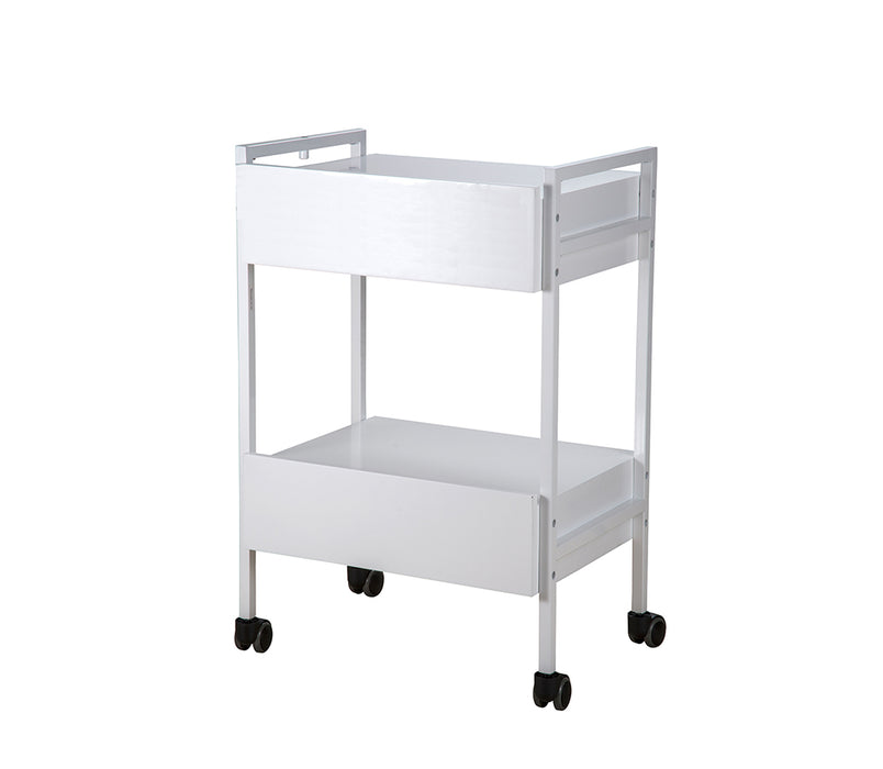 Silver Fox 2 Shelf MedSpa Cart With 2 Locking Drawers - 1019