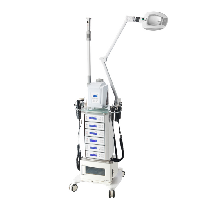 Silver Fox Multifunction Facial Machine - F-3021