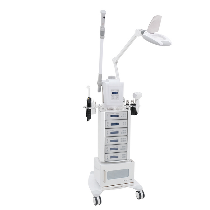 Silver Fox Multifunction Facial Machine - F-3021