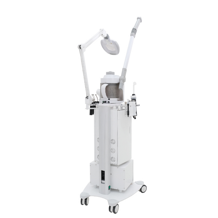 Silver Fox Multifunction Facial Machine - F-3021