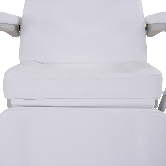 Silver Fox 2246BN Medical Spa Chair - 2246BN